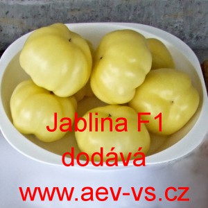 Paprika ročn&iacute; rajčinov&aacute; hybridn&iacute; Jablina F1