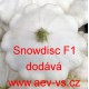 Patizon (tykev obecná) hybridní Snowdisc F1