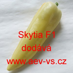 Paprika roční zeleninová hybridní Skytia F1