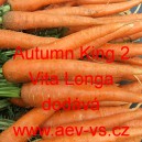 Mrkev obecná Autumn King 2 Vita Longa