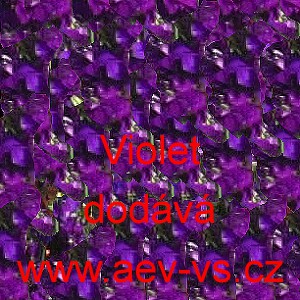 Ostrožka stračka Violet