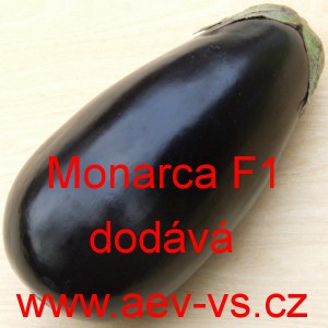 Lilek vejcoplod&yacute; baklaž&aacute;n hybridn&iacute; Monarca F1