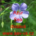 Len vytrvalý Azur Sea