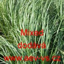 Pampas dvoudomý Mixed