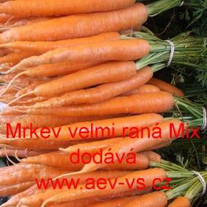 Mrkev obecná velmi raná Mix