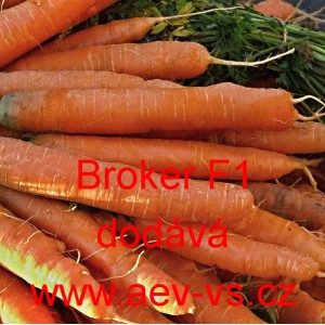 Mrkev obecná hybridní Broker F1