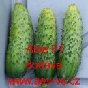 Okurka setá nakládačka hybridní Aloe F1