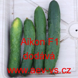 Okurka set&aacute; sal&aacute;tov&aacute; hybridn&iacute; Aikon F1