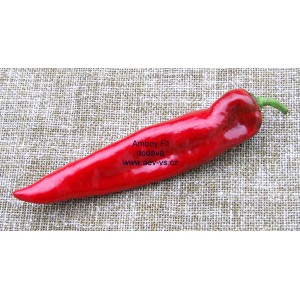 Paprika roční zeleninová hybridní pálivá Amboy F1