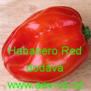 Paprika pálivá čilí Habanero Red