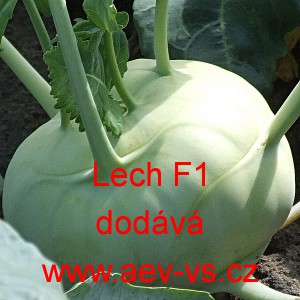 Kedluben bílý hybridní Lech F1